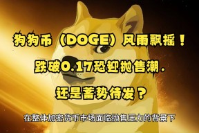 爱游戏体育-狗狗币正式宣布与XRP携手，开启元宇宙新纪元！，引爆行情